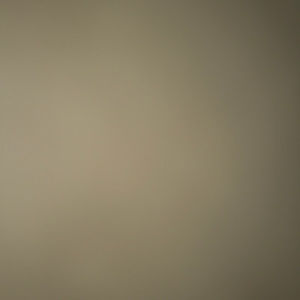 Meet your Posher, Calvin